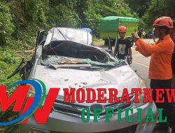 Pohon Tumbang Timpa Dua Mobil di Jalur Trans Kebun Kopi, Satu Tewas di Tempat