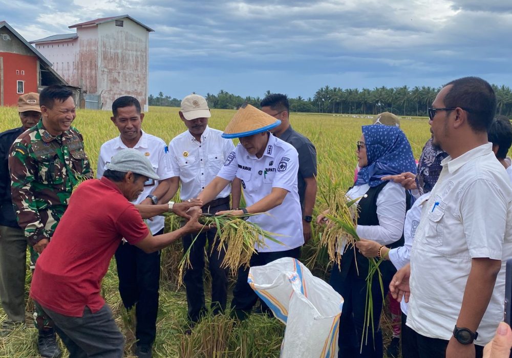 Panen Perdana Padi, Bupati Parimo Dorong Desa Mandiri Pangan