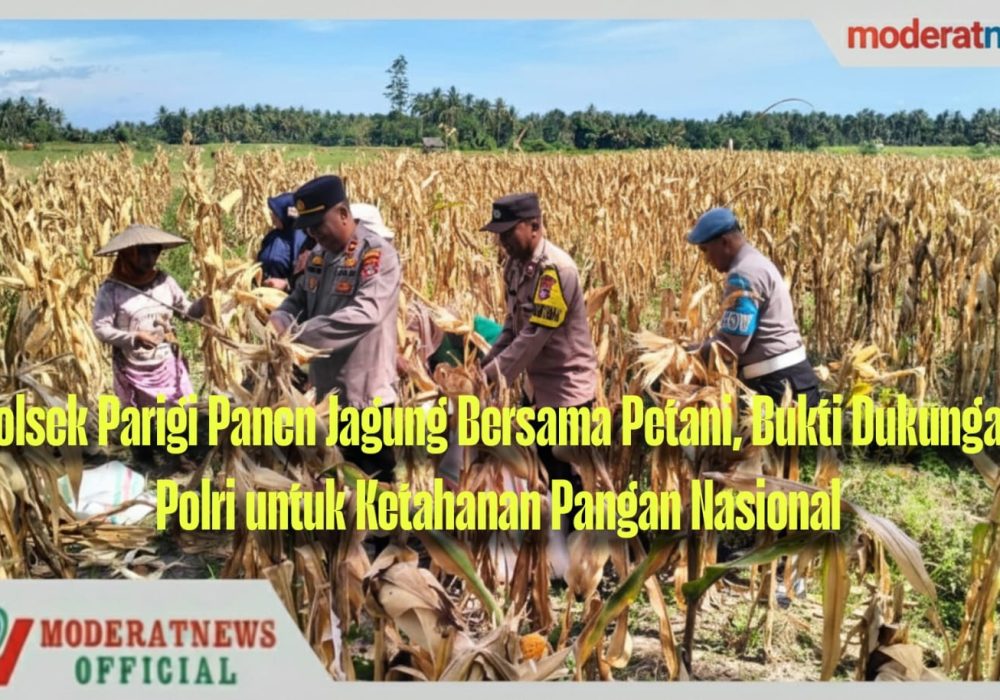 Panen Raya Jagung, Polsek Parigi Dorong Swasembada Pangan