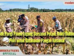 Panen Raya Jagung, Polsek Parigi Dorong Swasembada Pangan