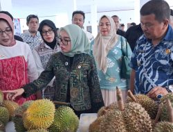 Produksi Naik, Parimo Siap Jadi Gerbang Ekspor Durian Nasional