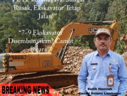 Jejak Ekskavator Misterius di Hulu Sungai Lambunu, Camat Buka Suara!