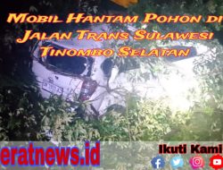 Kecelakaan Maut di Trans Sulawesi Tinombo Selatan, Pengemudi Tewas Ditempat