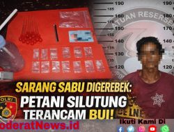 Kedok Petani Terbongkar, Bandar Sabu Silutung Ditangkap Polisi