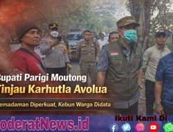 Bupati Parimo Erwin Tinjau Langsung Karhutla di Desa Avolua