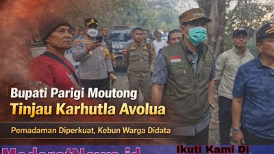 Bupati Parimo Erwin Tinjau Langsung Karhutla di Desa Avolua