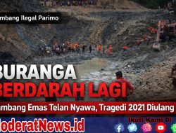 Tragedi 2021 Terulang Lagi, Tambang Emas Buranga Telan Nyawa