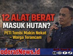 Ampibabo Darurat PETI, 12 Alat Berat Diduga Masuk Kawasan Hutan Tombi
