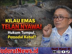 Lubang Maut Buranga, PETI Tombi Ancam Keselamatan, Hukum Dipertanyakan!