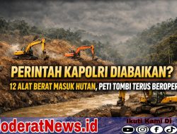 Perintah Kapolri Tak Bertaring, PETI Tombi Merajalela, Hukum Diuji!
