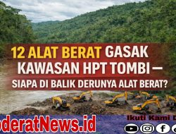 PETI Tombi Ancam Kawasan HPT, Wibawa Hukum Dipertaruhkan