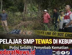 Pelajar SMP Tewas di Kebun Kelapa, Polisi Selidiki Penyebab Kematian