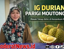 Bappelitbangda Fasilitasi Indikasi Geografis Durian Parigi Moutong