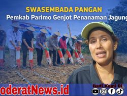 Pemkab Parimo Perkuat Swasembeda Pangan Lewat Jagang