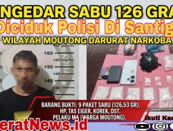 Bawa Sabu 126,53 gram. Pemuda Asal Moutong Diciduk Polisi