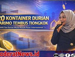 120 Kontainer Durian Parigi Moutong Tembus Pasar Tiongkok