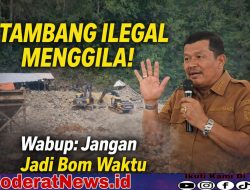 PETI Mengganas, Parimo di Ujung Krisis, Wabup Jangan Biarkan