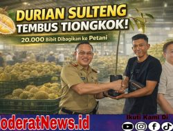 Sulteng Gaspol Ekspor Durian ke Tiongkok, 20 Ribu Bibit Dibagikan