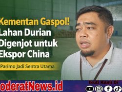 Kementan Genjot Registrasi Lahan Durian untuk Ekspor ke China