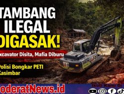 Grebek Tambang Ilegal Kasimbar. Excavator Disikat, Mafia Diburu!
