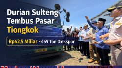 Ekspor Raya Durian Sulteng ke Tiongkok Tembus Rp42,5 Miliar