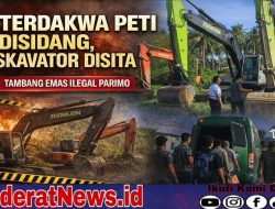 Sidang Perdana PETI Parimo, 9 Terdakwa Diseret ke Meja Hijau