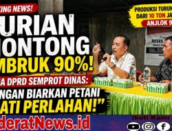 Ketua DPRD Parimo Soroti Krisis Durian Montong, Desak Dinas Turun Tangan