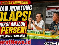 Durian Montong Parimo Kolaps! Produksi Anjlok 90 Persen, DPRD Sentil Dinas Pertanian