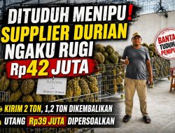 Supplier Durian Morowali Bantah Tuduhan Penipuan, Klaim Rugi Rp42 Juta