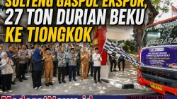 27 Ton Durian Beku Sulteng Resmi Diekspor ke Tiongkok