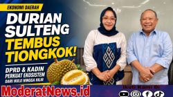 Durian Sulteng Tembus Tiongkok, DPRD–Kadin Perkuat Ekosistem