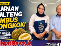 Durian Sulteng Tembus Tiongkok, DPRD–Kadin Perkuat Ekosistem