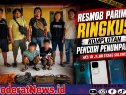 Resmob Parimo Tangkap Dua Pelaku Pencurian Penumpang di Toboli