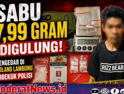 Pengedar Sabu di Bolano Lambunu Dibekuk, Polisi Kejar Pemasok dari Palu
