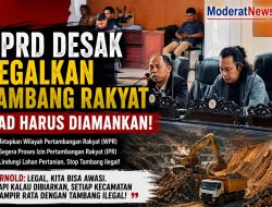 Tambang Ilegal Merebak, DPRD Parigi Moutong Minta WPR dan IPR Segera Diterbitkan