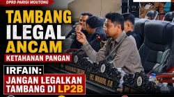 Desak Penindakan Tegas, Irfain Soroti Tambang Emas Ilegal di Lahan Pangan Tinombo Selatan