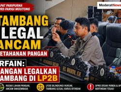 Desak Penindakan Tegas, Irfain Soroti Tambang Emas Ilegal di Lahan Pangan Tinombo Selatan