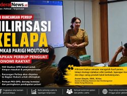 Hilirisasi Kelapa, Pemkab Parigi Moutong Siapkan Perbup Penguat Ekonomi Rakyat