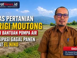 Kemarau Panjang Ancam Gagal Panen, Distan Parimo Kejar Bantuan Pompa Air Kementan