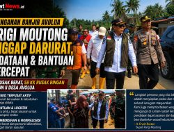 Parimo Tetapkan Tanggap Darurat Banjir Avolua, Pendataan dan Bantuan Dipercepat
