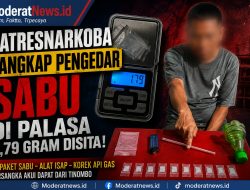 Sabu Diduga Beredar di Bobalo. Polisi Tangkap SF. Pemasok Diburu