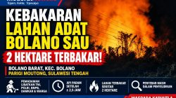 Api Lahap Dua Hektare Lahan di Bolano, Penyebab Kebakaran Diselidiki