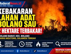 Api Lahap Dua Hektare Lahan di Bolano, Penyebab Kebakaran Diselidiki