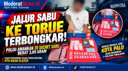 20 Paket Sabu Siap Edar Dibekuk di Torue, Polisi Bongkar Jalur dari Palu