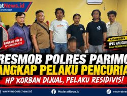 Tak Kapok! Residivis Kembali Beraksi, Resmob Polres Parimo Meringkusnya