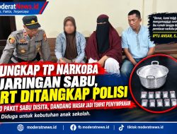 Dalih Biaya Sekolah Anak, IRT Diduga Jual Sabu, Berakhir Ditangan Polisi