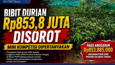 Bibit Durian Rp853 Juta Disorot, Mini Kompetisi Dinas TPHP Sulteng Dipertanyakan