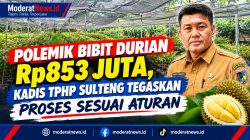 Polemik Bibit Durian Rp853 Juta, Kadis TPHP Sulteng Tegaskan Proses Sesuai Aturan